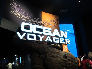 Ocean Voyager